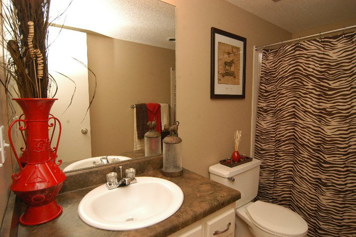 105pdf/Camelot_Village_Omaha_Bathroom.jpg