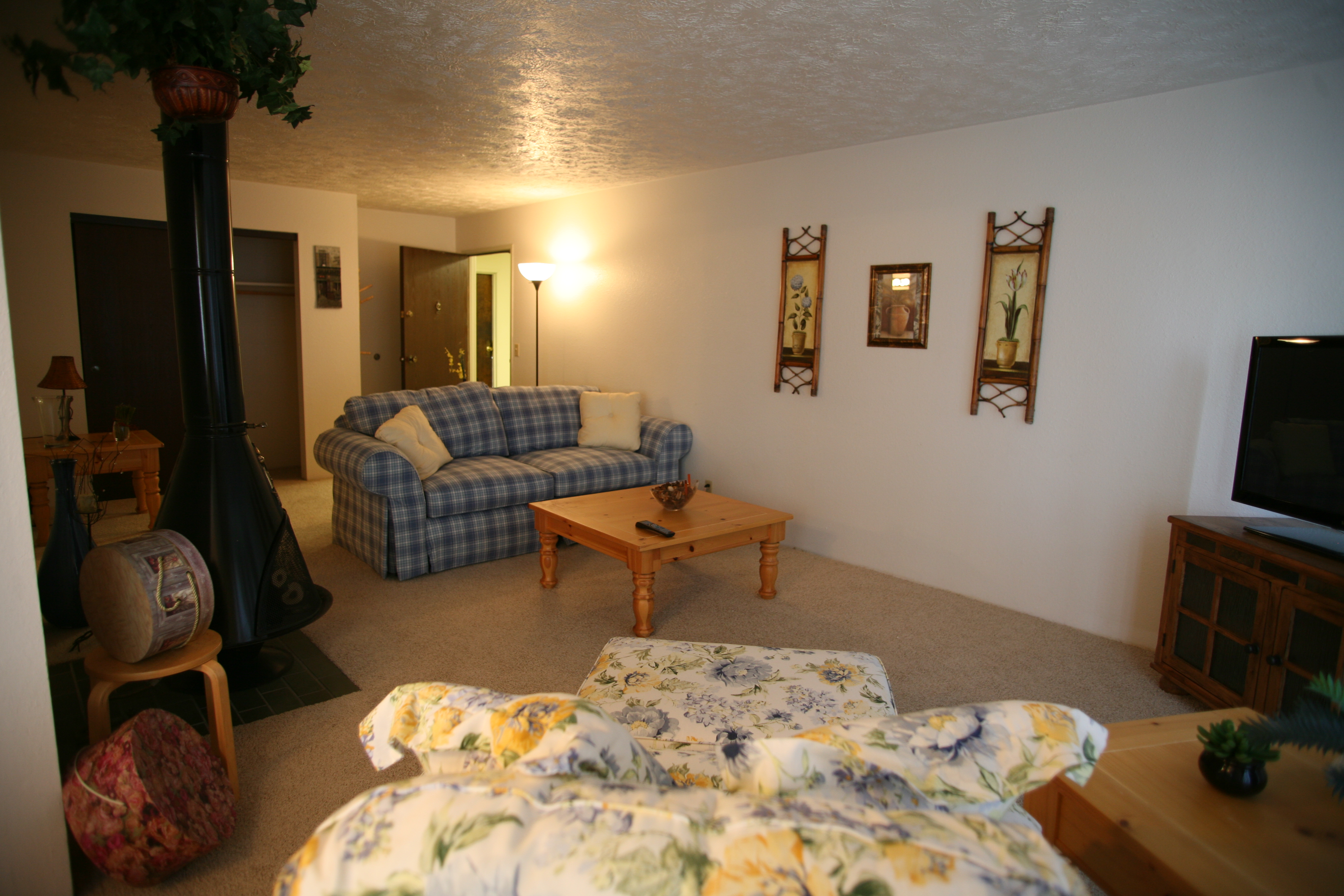 148PDF/Cottonwood_Apartments_interior.jpg